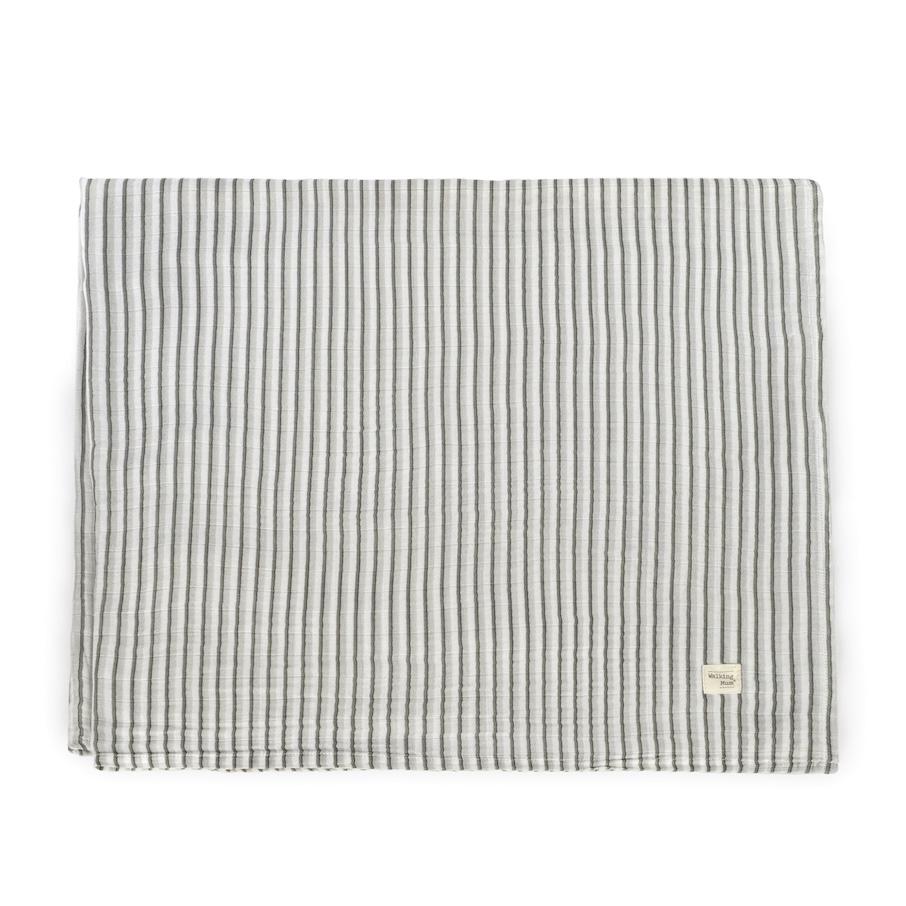 MAXI MUSSOLA BOTTON STRIPS