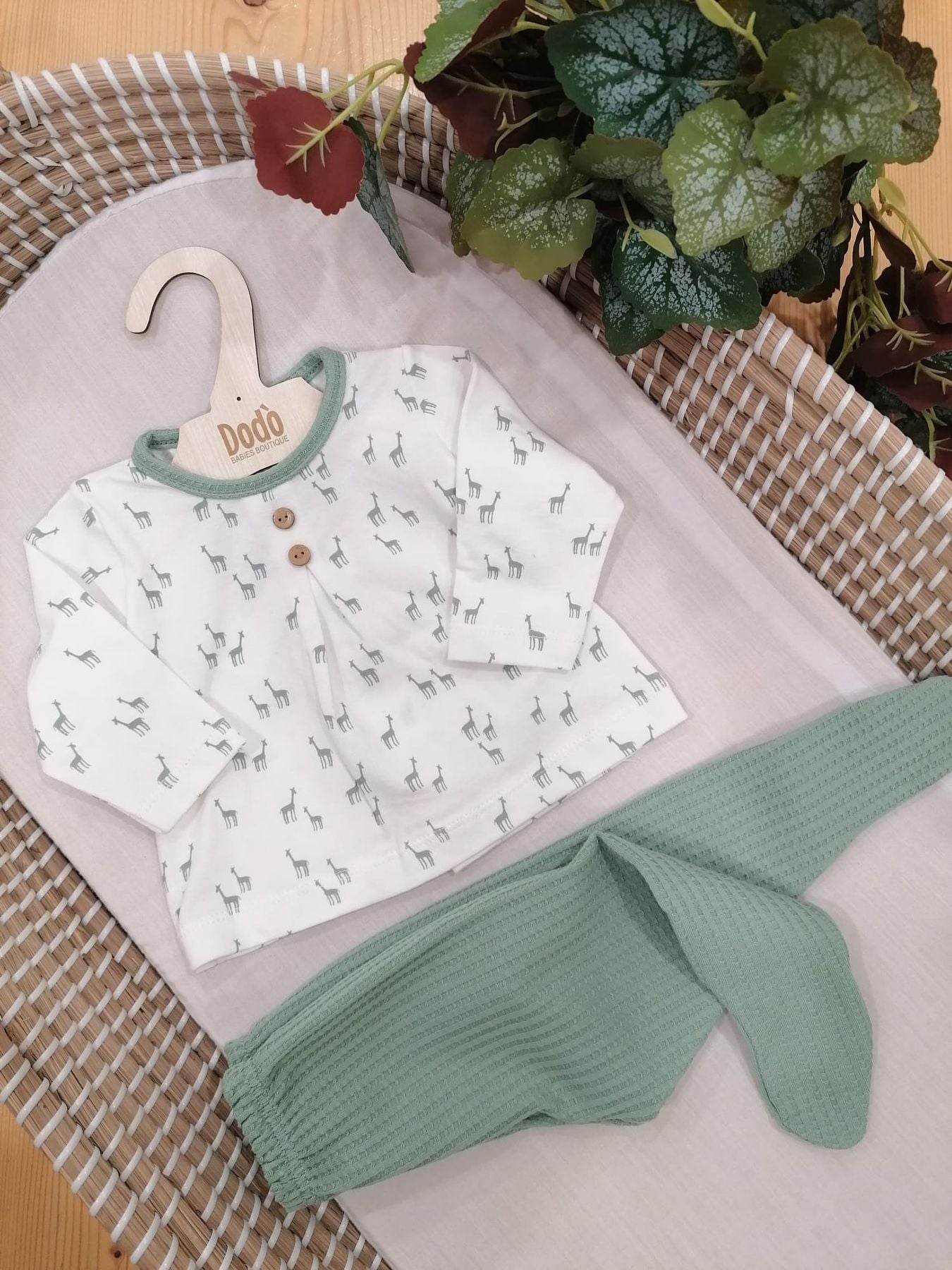 CONJUNTO PELITRE GREEN