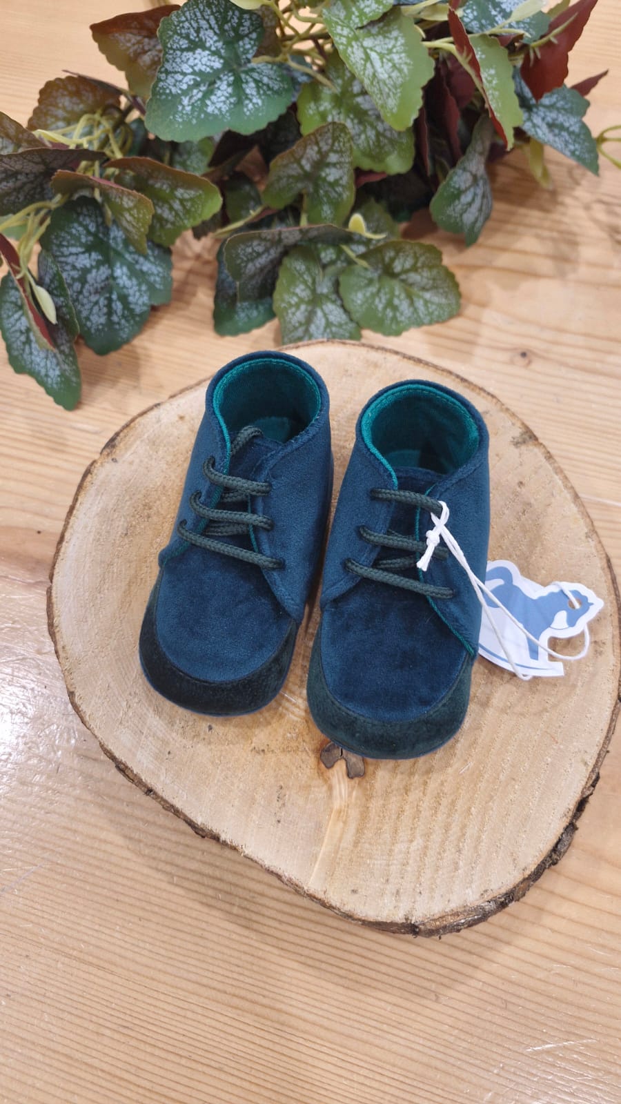 SCARPINE BLUE VELVET