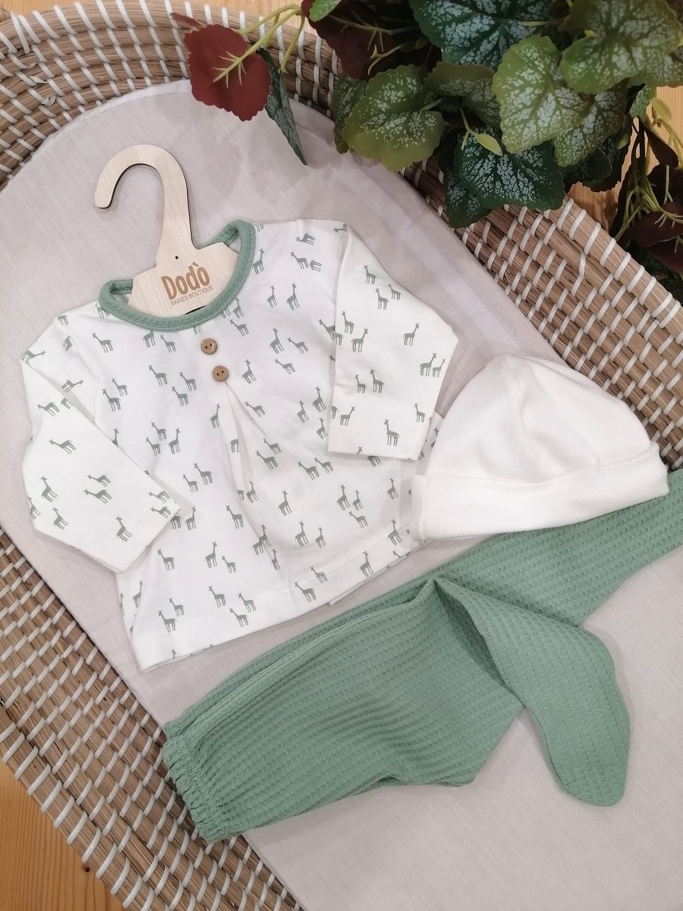 CONJUNTO PELITRE GREEN