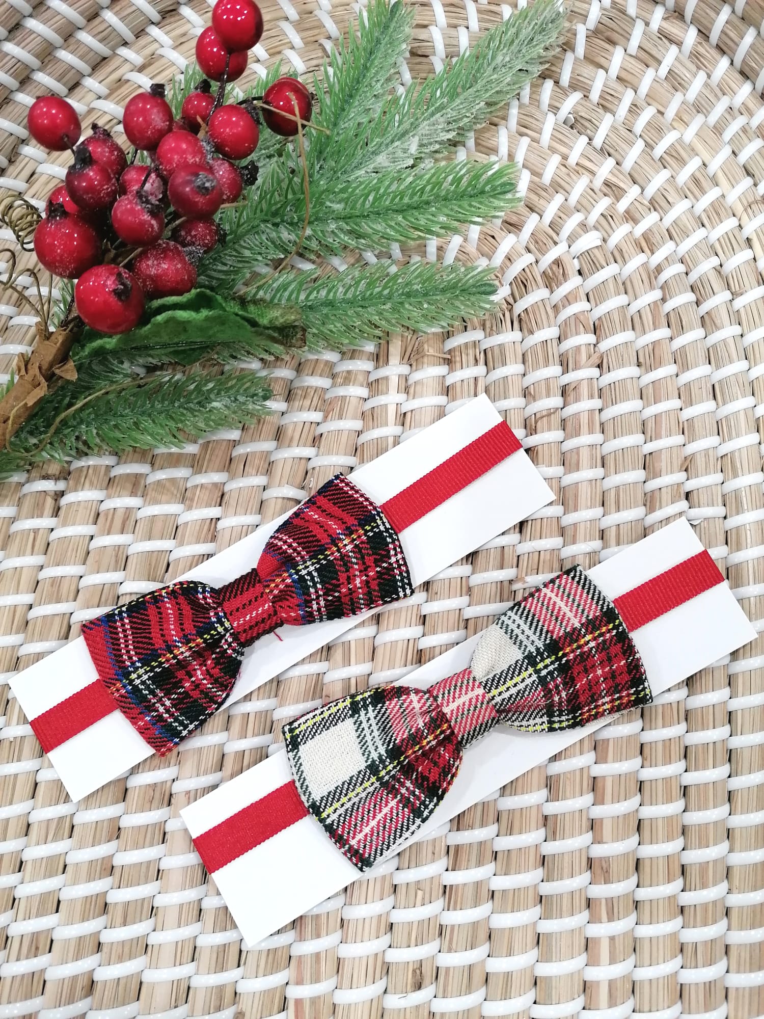 PAPILLON TARTAN